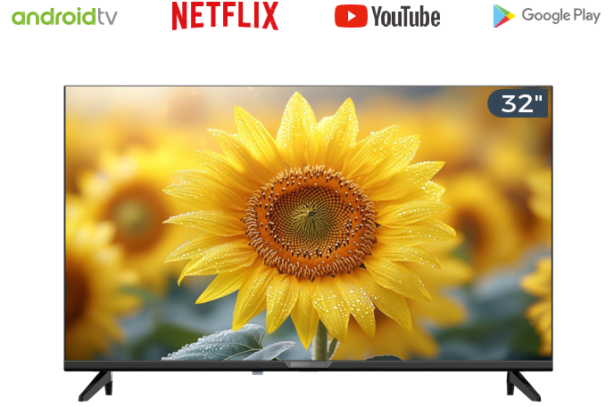 TELEVISEUR DLED TV 32" SMART OCEAN
