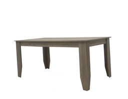 [MH6111] TABLE NEXUS 170X90